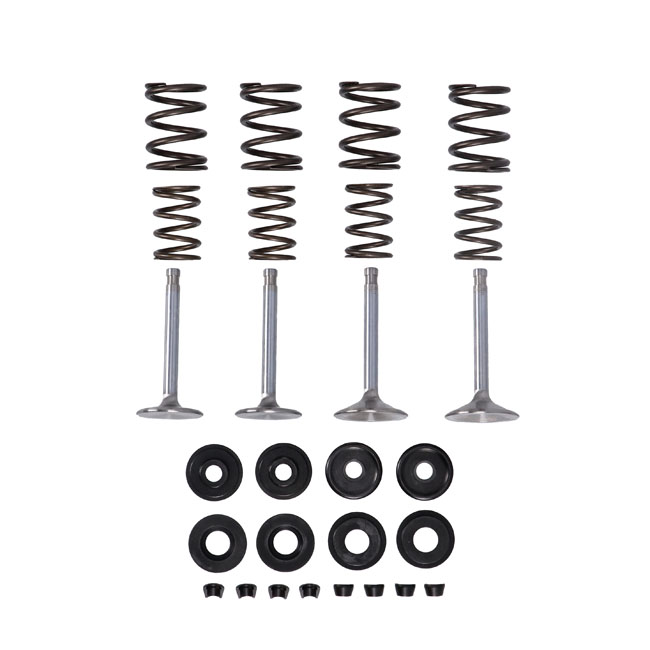 Manley, Race Master valve kit. Stock - .495" valve lift